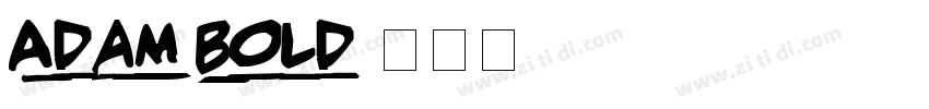 Adam Bold字体转换
